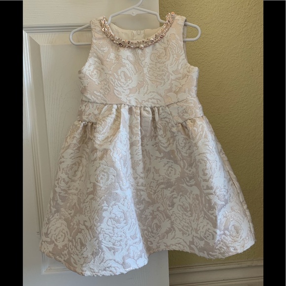 Rare Editions Other - Girls Special occasion dress size 3T